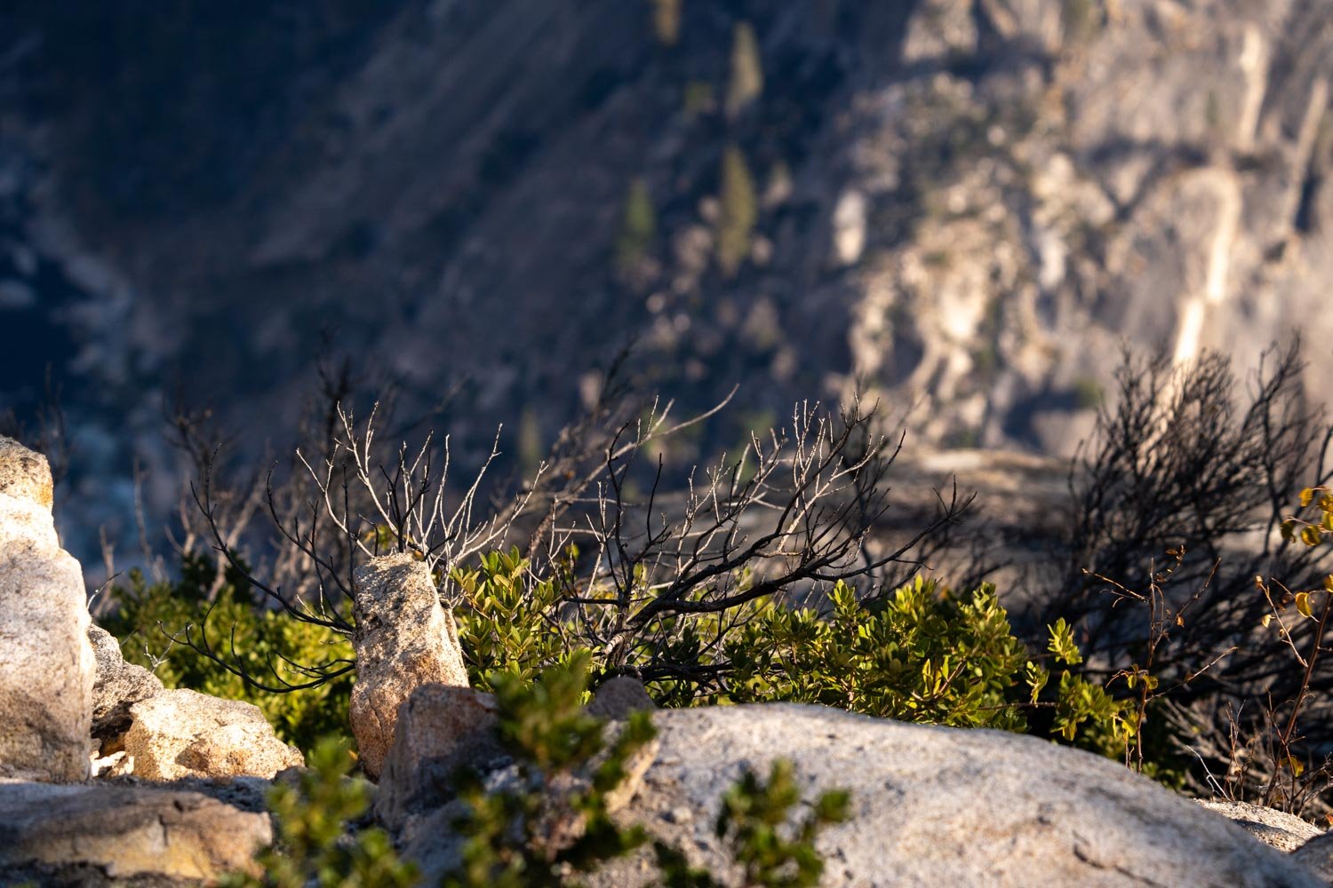 Large white boulders.