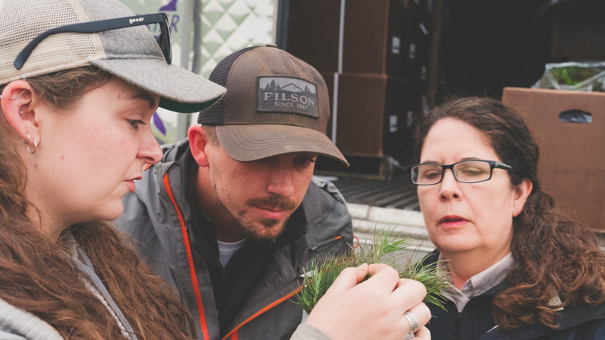 A group of Mast employees inspecting a seedling.